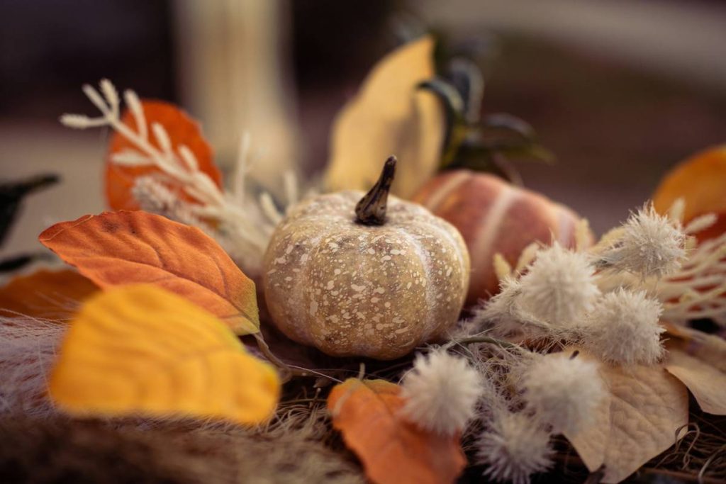 Seasonal Item Protractor What Is Purpose: 7 Proven Ways to Avoid Costly Home Decor Mistakes